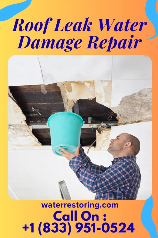 Roof Leak Water Damage Repair in Montesano, WA