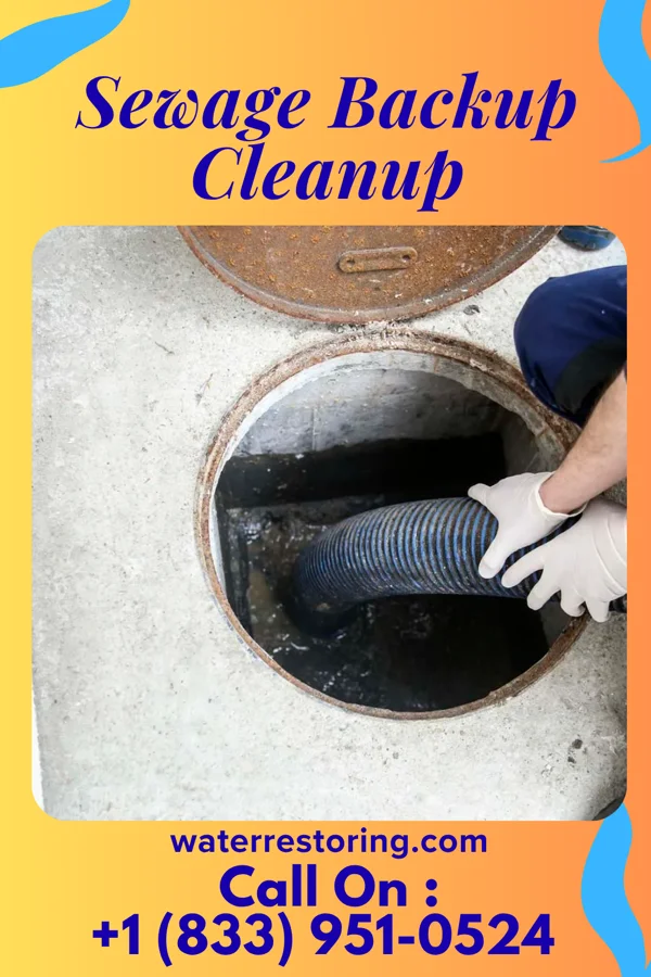 Sewage Backup Cleanup in Montesano, WA