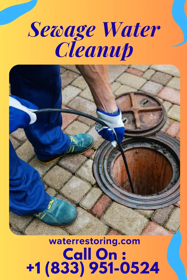 Sewage Water Cleanup in Montesano, WA