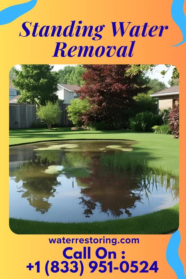 Standing Water Removal in Montesano, WA